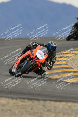 media/Jan-14-2023-SoCal Trackdays (Sat) [[497694156f]]/Turn 12 (120pm)/